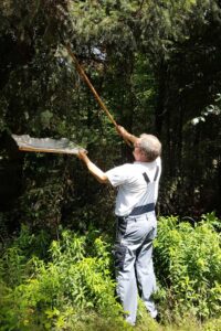 Christoph Koch beim Laeseschlagen im Schwarzwald