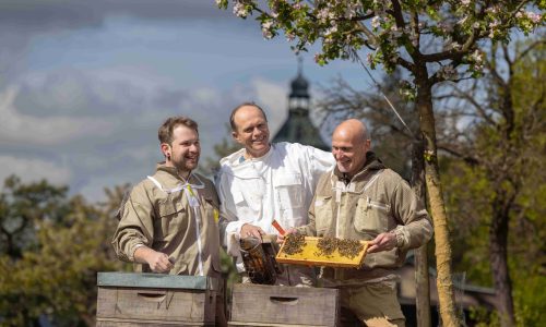 IMG_8216_bearbeit IMG_8216_bearbeit